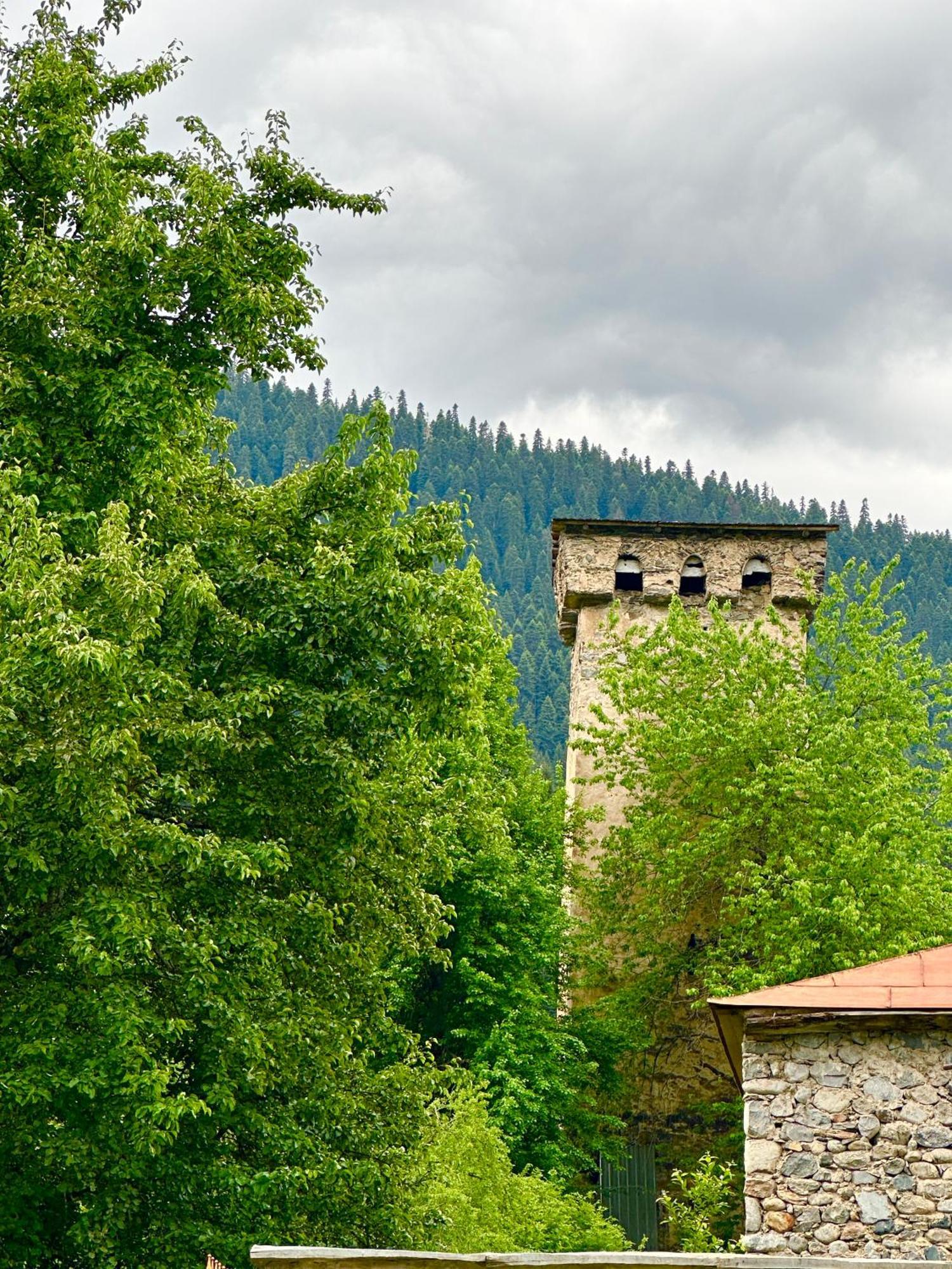 Mziuri Guest House Mestia Dış mekan fotoğraf
