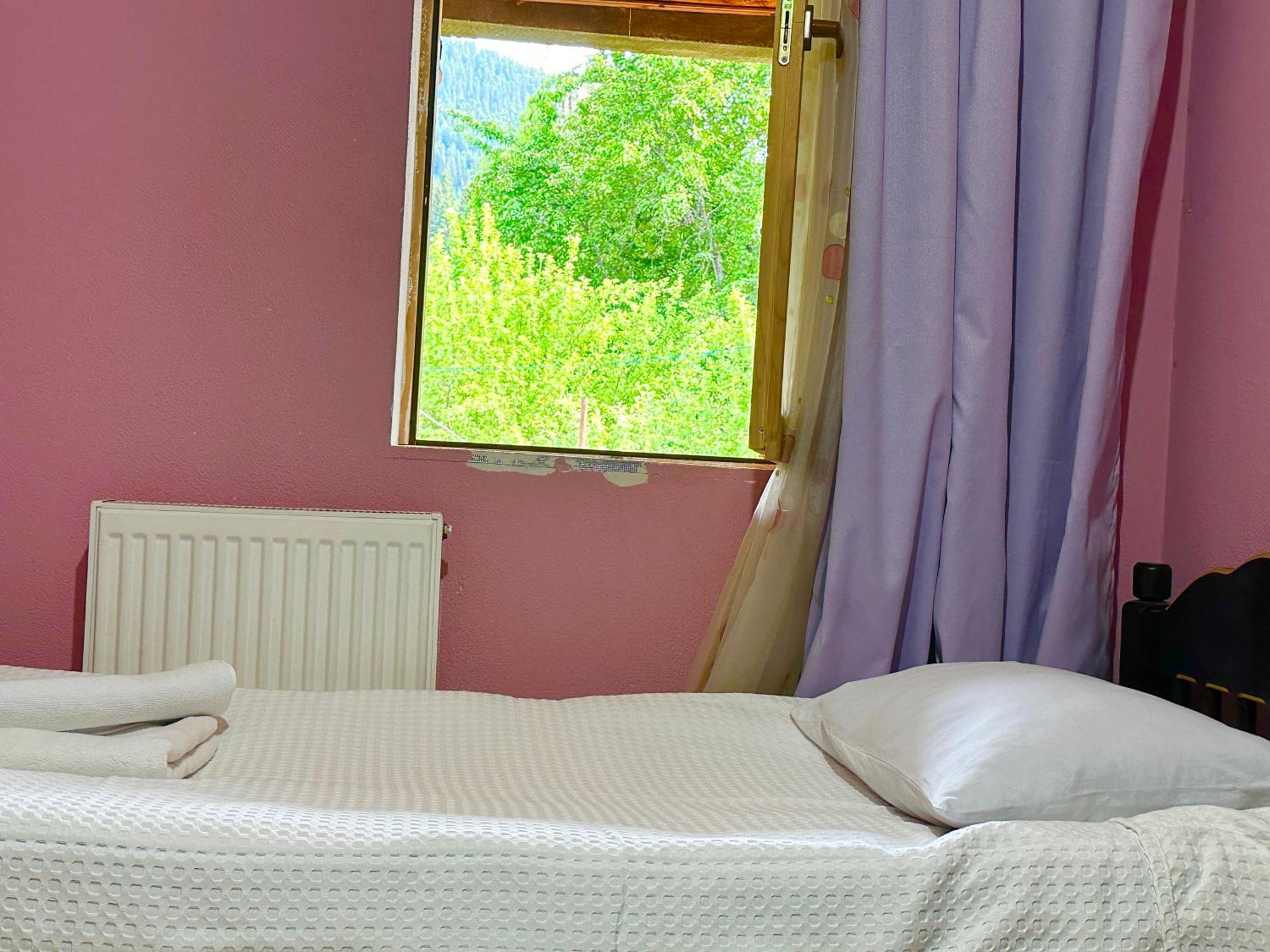 Mziuri Guest House Mestia Dış mekan fotoğraf