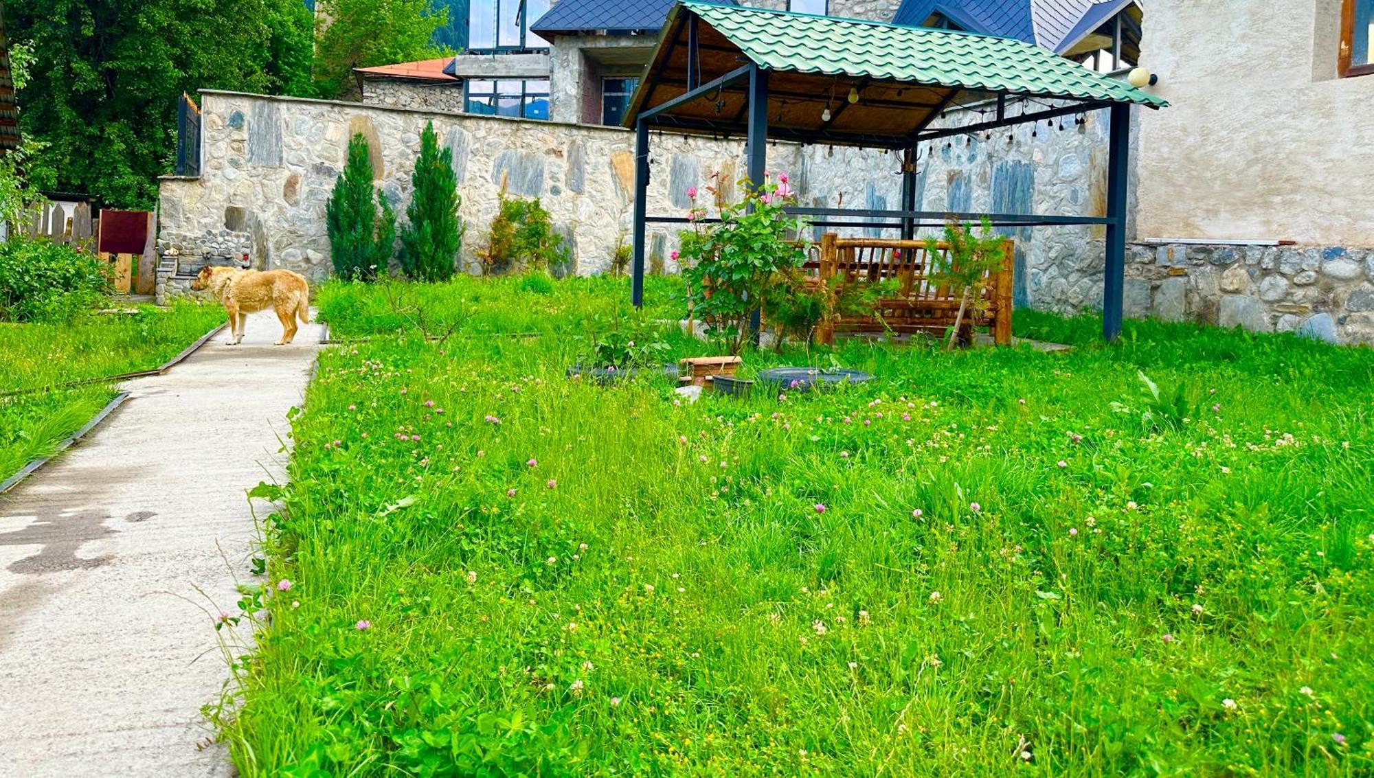 Mziuri Guest House Mestia Dış mekan fotoğraf
